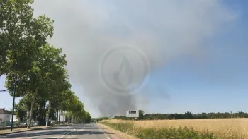 Incendie à La Charité-sur-Loire - Nièvre - 8 juillet 2026 - Feux de forêts et d'espaces naturels