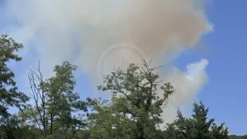 Incendie à Comblanchien - Côte-d'Or - 8 juillet 2026 - Feux de forêts et d'espaces naturels