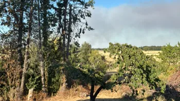 Incendie à Mézières-en-Brenne - Indre - 8 juillet 2026 - Feux de forêts et d'espaces naturels