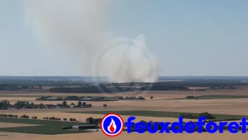 Incendie à Morthomiers - Cher - 8 juillet 2026 - Feux de forêts et d'espaces naturels