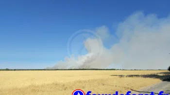 Incendie à Morthomiers - Cher - 8 juillet 2026 - Feux de forêts et d'espaces naturels