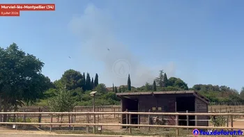 Incendie à Murviel-lès-Montpellier - Hérault - 8 juillet 2026 - Feux de forêts et d'espaces naturels