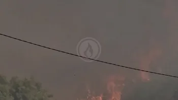Incendie à Murviel-lès-Montpellier - Hérault - 8 juillet 2026 - Feux de forêts et d'espaces naturels