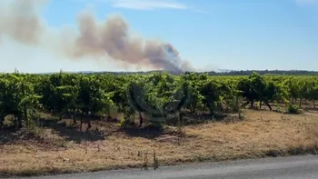 Incendie à Murviel-lès-Montpellier - Hérault - 8 juillet 2026 - Feux de forêts et d'espaces naturels