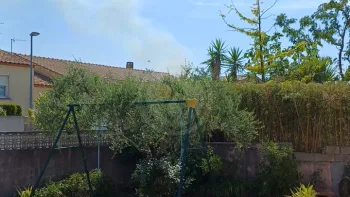 Incendie à Murviel-lès-Montpellier - Hérault - 8 juillet 2026 - Feux de forêts et d'espaces naturels