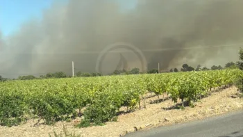 Incendie à Murviel-lès-Montpellier - Hérault - 8 juillet 2026 - Feux de forêts et d'espaces naturels