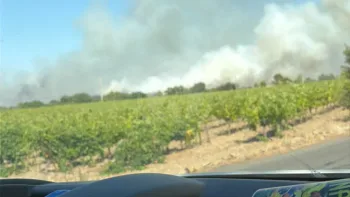 Incendie à Murviel-lès-Montpellier - Hérault - 8 juillet 2026 - Feux de forêts et d'espaces naturels