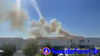 Incendie à Murviel-lès-Montpellier - Hérault - 8 juillet 2026 - Feux de forêts et d'espaces naturels