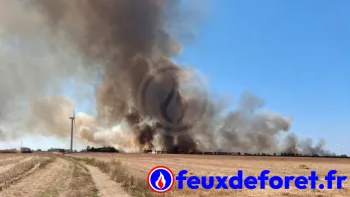 Incendie à Ouézy - Calvados - 8 juillet 2026 - Feux de forêts et d'espaces naturels