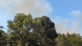 Incendie à Montbazin - Hérault - 8 juillet 2026 - Feux de forêts et d'espaces naturels
