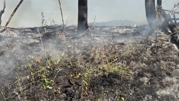 Incendie à Les Cars - Haute-Vienne - 8 juillet 2026 - Feux de forêts et d'espaces naturels