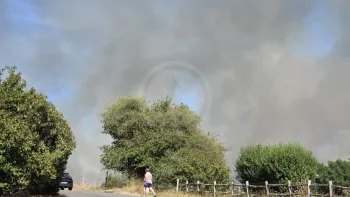 Incendie à Les Cars - Haute-Vienne - 8 juillet 2026 - Feux de forêts et d'espaces naturels