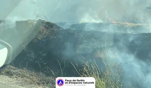 Incendie à Sarrians (84) : les pompiers interviennent