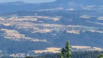 Incendie à Saint-Maurice-de-Lignon - Haute-Loire - 8 juillet 2026 - Feux de forêts et d'espaces naturels