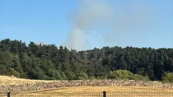 Incendie à Saint-Maurice-de-Lignon - Haute-Loire - 8 juillet 2026 - Feux de forêts et d'espaces naturels