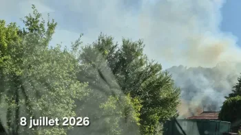 Incendie à Couffy - Loir-et-Cher - 8 juillet 2026 - Feux de forêts et d'espaces naturels