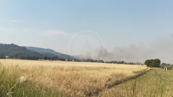 Incendie à Volx - Alpes-de-Haute-Provence - 8 juillet 2026 - Feux de forêts et d'espaces naturels