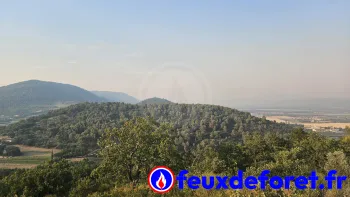 Incendie à Volx - Alpes-de-Haute-Provence - 8 juillet 2026 - Feux de forêts et d'espaces naturels