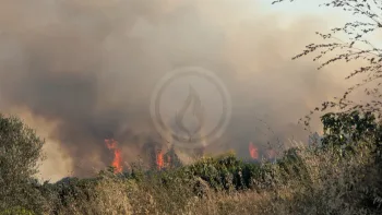 Incendie à Volx - Alpes-de-Haute-Provence - 8 juillet 2026 - Feux de forêts et d'espaces naturels