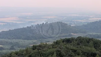 Incendie à Volx - Alpes-de-Haute-Provence - 8 juillet 2026 - Feux de forêts et d'espaces naturels