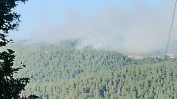 Incendie à Yssingeaux - Haute-Loire - 8 juillet 2026 - Feux de forêts et d'espaces naturels