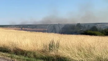 Incendie à Montrichard Val de Cher - Loir-et-Cher - 8 juillet 2026 - Feux de forêts et d'espaces naturels