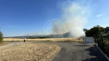 Incendie à Montrichard Val de Cher - Loir-et-Cher - 8 juillet 2026 - Feux de forêts et d'espaces naturels