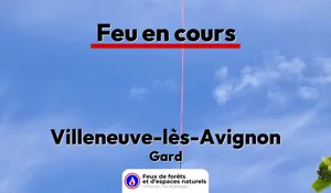 Incendie à Villeneuve-lès-Avignon (30) : le feu est éteint