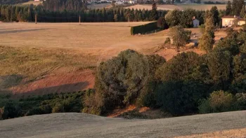 Incendie à Saint-Étienne - Loire - 8 juillet 2026 - Feux de forêts et d'espaces naturels
