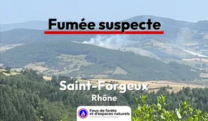 Saint-Forgeux (69)