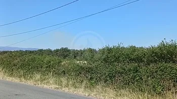 Incendie à Palogneux - Loire - 9 juillet 2026 - Feux de forêts et d'espaces naturels