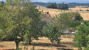 Incendie à Palogneux - Loire - 9 juillet 2026 - Feux de forêts et d'espaces naturels