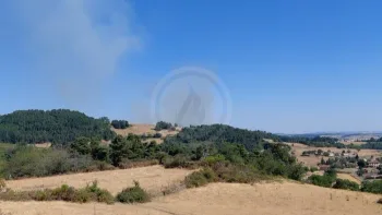 Incendie à Palogneux - Loire - 9 juillet 2026 - Feux de forêts et d'espaces naturels