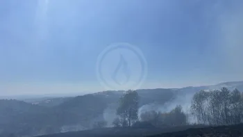 Incendie à Palogneux - Loire - 9 juillet 2026 - Feux de forêts et d'espaces naturels