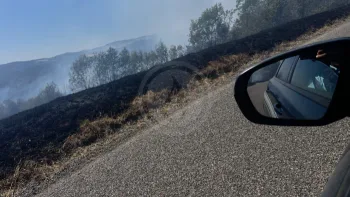 Incendie à Palogneux - Loire - 9 juillet 2026 - Feux de forêts et d'espaces naturels