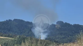 Incendie à Vaux-en-Beaujolais - Rhône - 9 juillet 2026 - Feux de forêts et d'espaces naturels