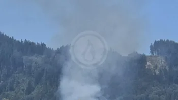 Incendie à Vaux-en-Beaujolais - Rhône - 9 juillet 2026 - Feux de forêts et d'espaces naturels