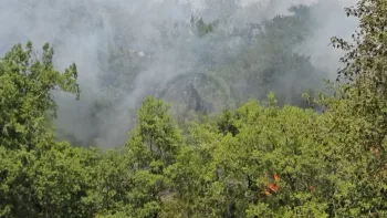 Incendie à Le Vigan-en-Quercy - Lot - 9 juillet 2026 - Feux de forêts et d'espaces naturels