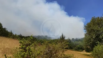 Incendie à Le Vigan-en-Quercy - Lot - 9 juillet 2026 - Feux de forêts et d'espaces naturels