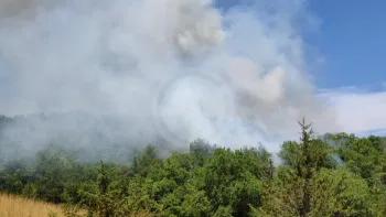 Incendie à Le Vigan-en-Quercy - Lot - 9 juillet 2026 - Feux de forêts et d'espaces naturels