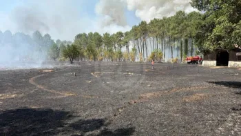 Incendie à Lit-et-Mixe - Landes - 9 juillet 2026 - Feux de forêts et d'espaces naturels