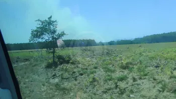 Incendie à Vielle-Saint-Girons - Landes - 9 juillet 2026 - Feux de forêts et d'espaces naturels