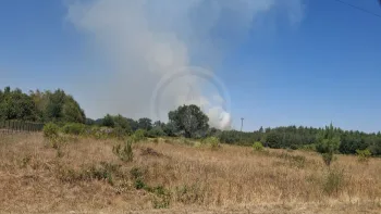 Incendie à Neung-sur-Beuvron - Loir-et-Cher - 9 juillet 2026 - Feux de forêts et d'espaces naturels