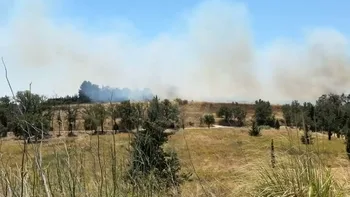 Incendie à Perpignan - Pyrénées-Orientales - 9 juillet 2026 - Feux de forêts et d'espaces naturels
