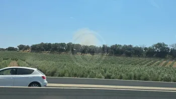 Incendie à Perpignan - Pyrénées-Orientales - 9 juillet 2026 - Feux de forêts et d'espaces naturels