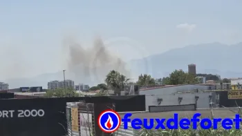 Incendie à Perpignan - Pyrénées-Orientales - 9 juillet 2026 - Feux de forêts et d'espaces naturels