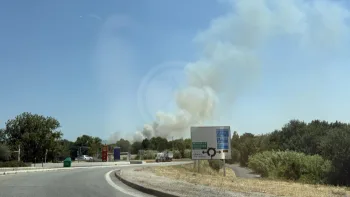 Incendie à Perpignan - Pyrénées-Orientales - 9 juillet 2026 - Feux de forêts et d'espaces naturels