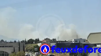 Incendie à Perpignan - Pyrénées-Orientales - 9 juillet 2026 - Feux de forêts et d'espaces naturels