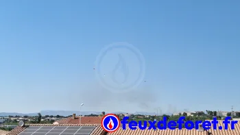 Incendie à Perpignan - Pyrénées-Orientales - 9 juillet 2026 - Feux de forêts et d'espaces naturels