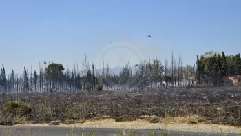 Incendie à Perpignan - Pyrénées-Orientales - 9 juillet 2026 - Feux de forêts et d'espaces naturels